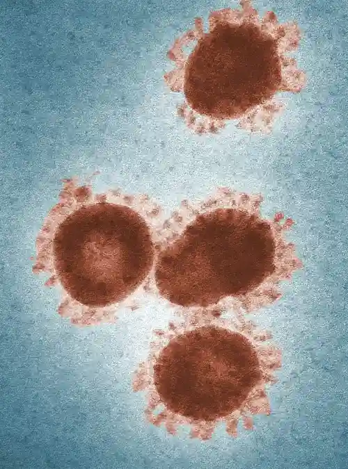 Hyperbaric Therapy for COVID Treatment 5 Stem-Cell-Activation-and-Recovery-img