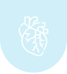 The Circulatory System-icon